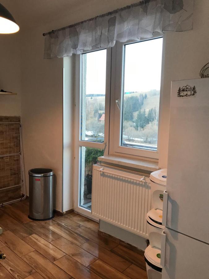 Apartman Orlicke Zahori Екстер'єр фото