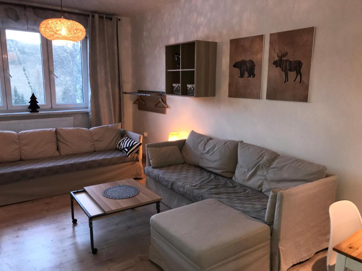 Apartman Orlicke Zahori Екстер'єр фото