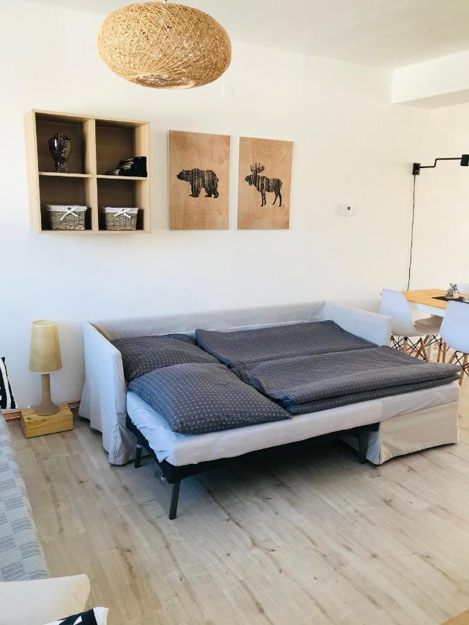Apartman Orlicke Zahori Екстер'єр фото